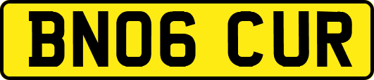 BN06CUR