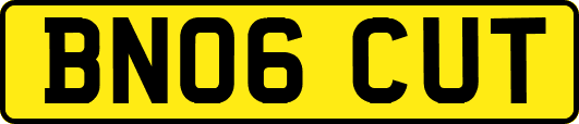 BN06CUT