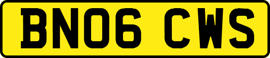 BN06CWS