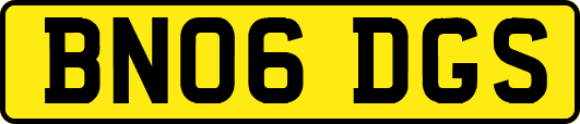 BN06DGS