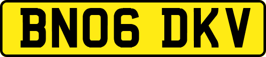 BN06DKV