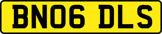 BN06DLS