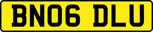 BN06DLU