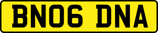 BN06DNA