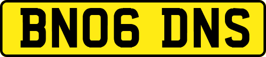 BN06DNS