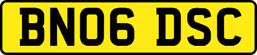 BN06DSC