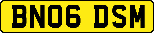 BN06DSM