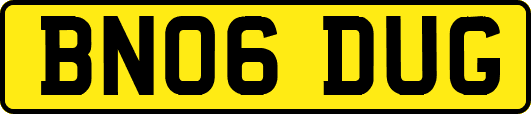 BN06DUG