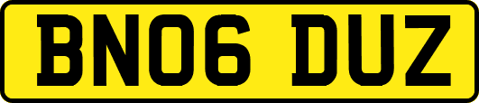 BN06DUZ