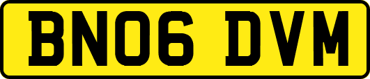 BN06DVM