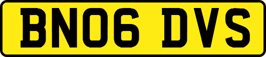 BN06DVS