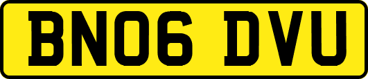 BN06DVU