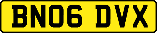 BN06DVX