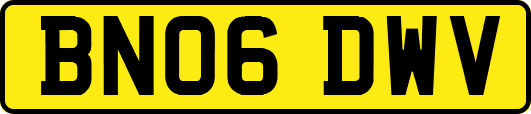 BN06DWV