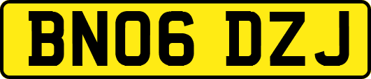 BN06DZJ