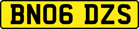 BN06DZS