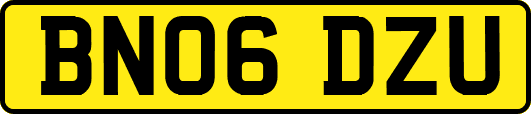 BN06DZU