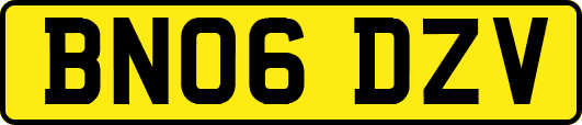 BN06DZV