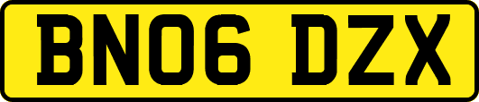 BN06DZX