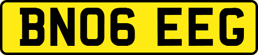 BN06EEG