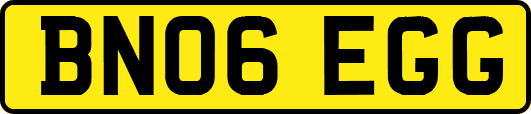 BN06EGG