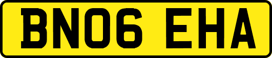 BN06EHA