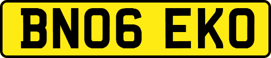 BN06EKO