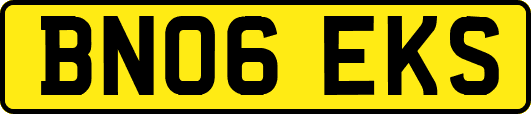 BN06EKS