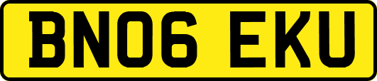 BN06EKU