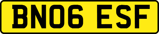BN06ESF