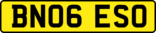 BN06ESO