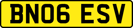 BN06ESV