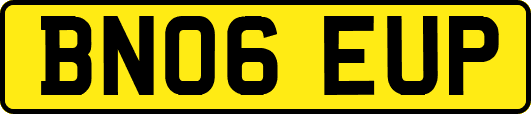 BN06EUP