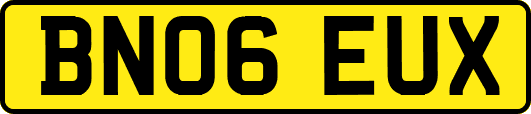 BN06EUX