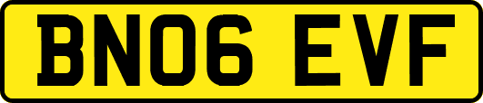 BN06EVF