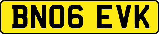 BN06EVK