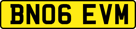 BN06EVM