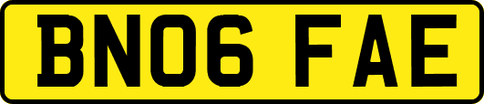 BN06FAE