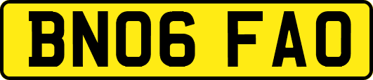 BN06FAO