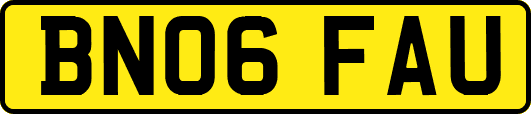 BN06FAU