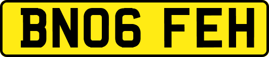 BN06FEH