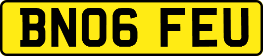 BN06FEU