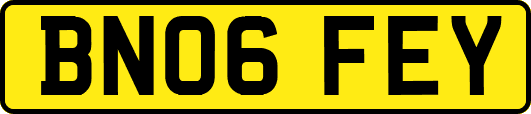 BN06FEY