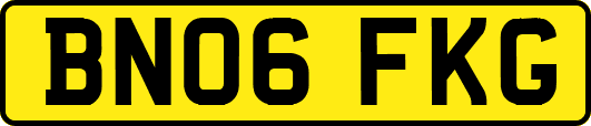 BN06FKG