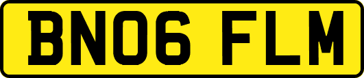 BN06FLM