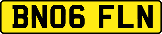 BN06FLN