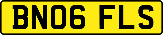 BN06FLS