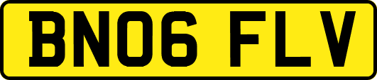 BN06FLV