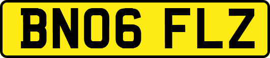BN06FLZ