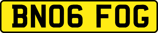 BN06FOG